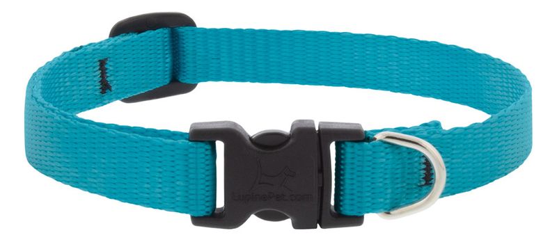 Lupine Pet Basic Solids Adjustable Dog Collar, Aqua, 1-in x 12-20-in