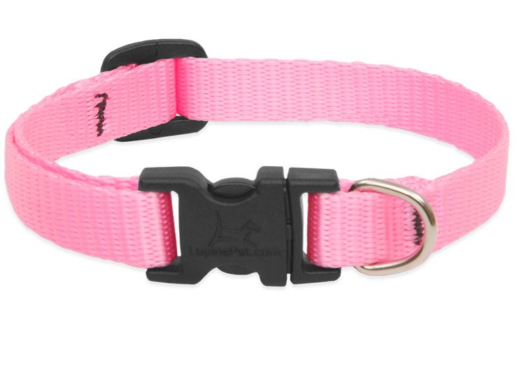 Lupine Pet Basic Solids Adjustable Dog Collar, Pink, 1-in x 12-20-in