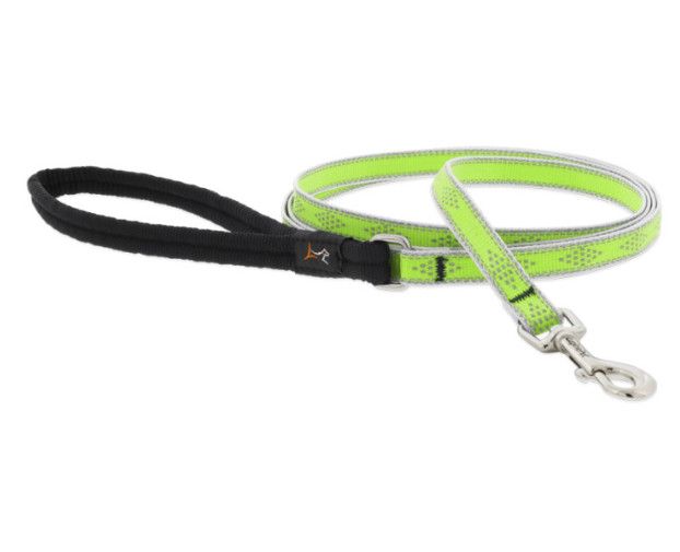 Lupine Pet High Lights Reflective Dog Leash, Green Diamond, 1-in x 6-ft