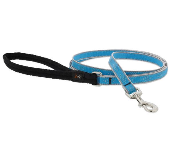 Lupine Pet High Lights Reflective Dog Leash, Blue Diamond, 1-in x 6-ft