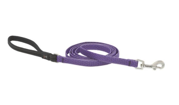 Lupine Pet Eco Dog Leash, Lilac, 1-in x 6-ft