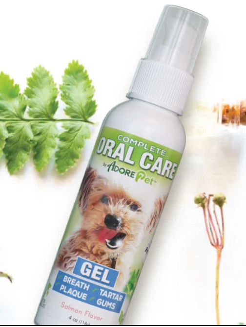 Core Pet Complete Oral Care Salmon Flavor Pet Gel, 1-oz