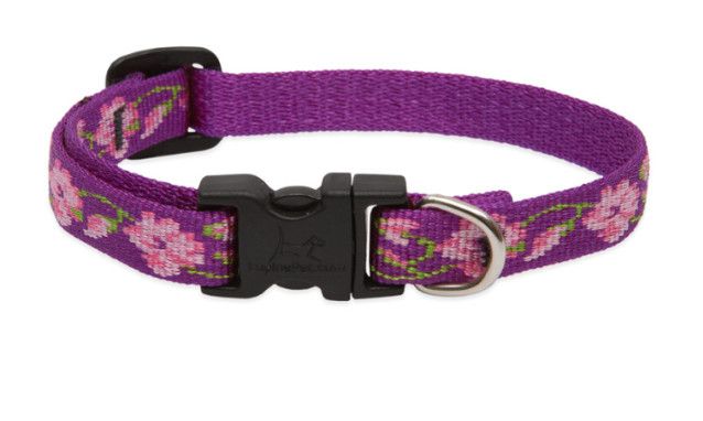 Lupine Pet Breakaway Cat Collar w/ Bell, Rose Garden, 8-12"