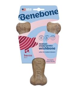 Benebone Wishbone Bacon Flavored Puppy/Gentle Dog Toy, Medium