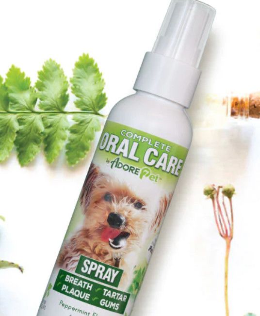 Core Pet Complete Oral Care Peppermint Spray for Pets, 1-oz