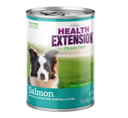 Health Extension Grain-Free Salmon Entree Canned Dog Food, 12.5-oz