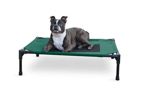 K&H Elevated Pet Cot, Green, Large