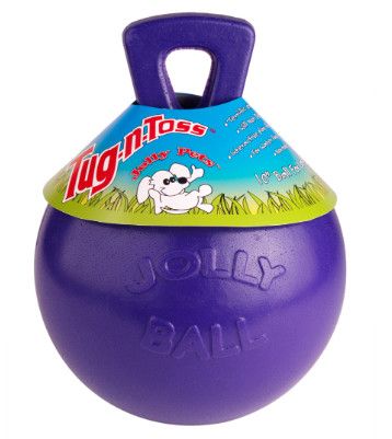 Jolly Pet Tug N Toss Dog Toy, Purple, 10-in