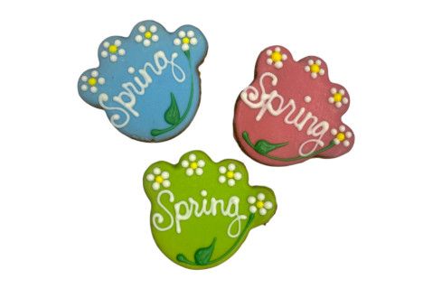 Paws Gourmet Bakery Spring Spring Paws Dog Treats, 3-in x 3.5-in