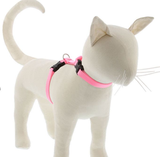 Lupine Pet Basics H-Harness for Cats, Pink, 12-20"