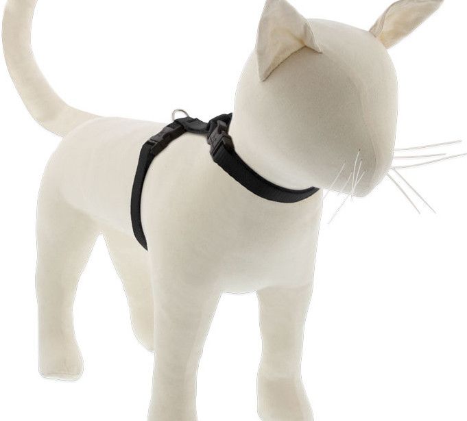 Lupine Pet Basics H-Harness for Cats, Black, 12-20"