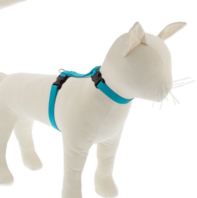 Lupine Pet Basics H-Harness for Cats, Aqua, 12-20"
