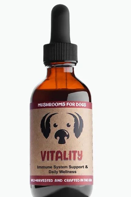 MyCo Dog Vitality Mushroom Blend for Dogs & Cats, 1-oz