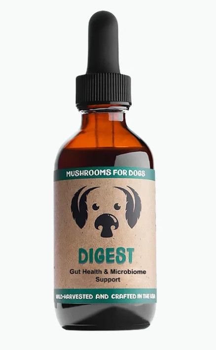 MyCo Dog Digest Mushroom Blend for Dogs & Cats, 1-oz