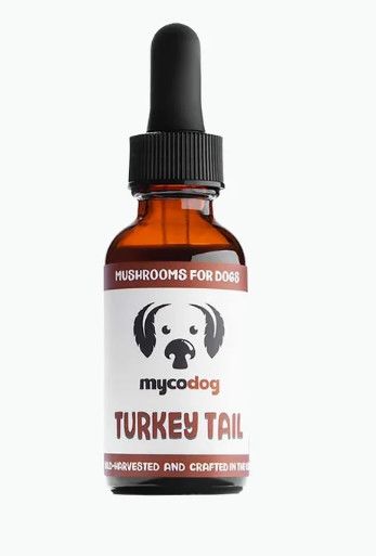 MyCo Dog Turkey Tail Mushroom Tincture for Dogs & Cats, 1-oz