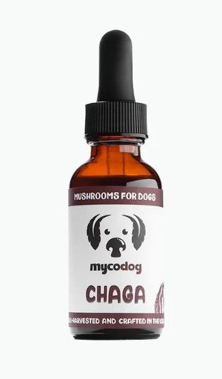 MyCo Dog Chaga Mushroom Tincture for Dogs & Cats, 1-oz