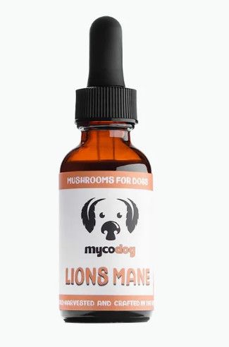 MyCo Dog Lion's Mane Mushroom Tincture for Dogs & Cats, 1-oz