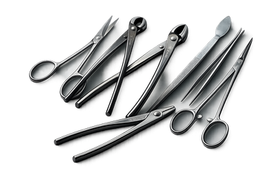 Stainless Steel Bonsai Tools
