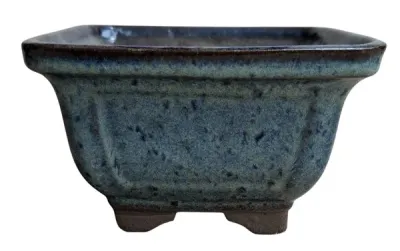Medium Bonsai Pots