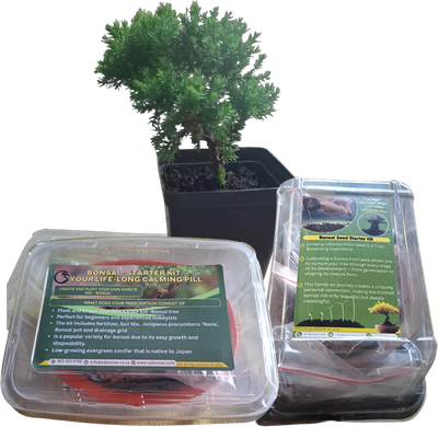 Self Starting Bonsai Gift Packs