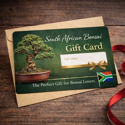 SA Bonsai Gift Cards