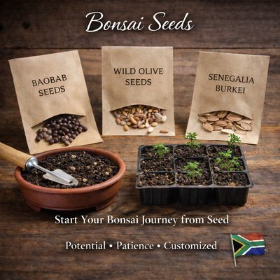 Seeds for Bonsai