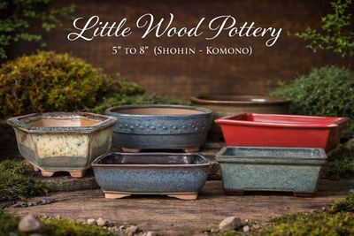 5" to 8" (Shohin - Komono)