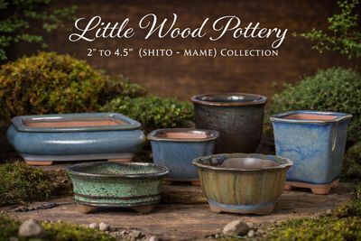 2" to 4.5" (Shito - Mame)