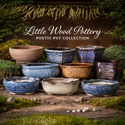 Little Wood Pottery Poetic Pot Collection