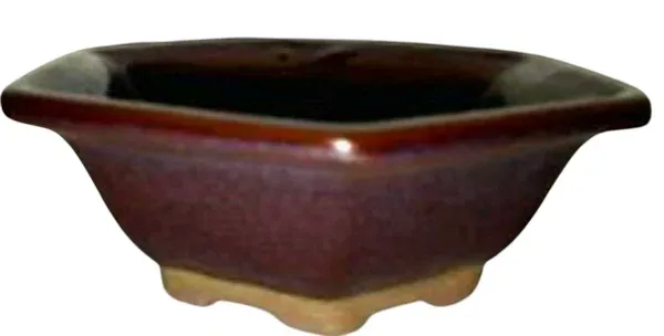 Mame Bonsai Pots Hexagonal 065