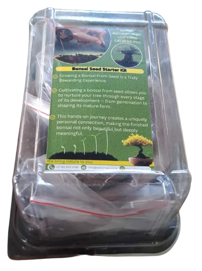 Grow Bonsai from Seed