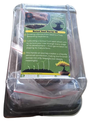 Grow Bonsai from Seed