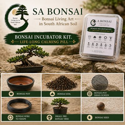 Grow Bonsai from Seed