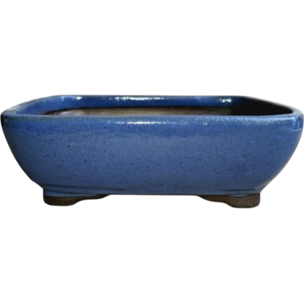 Small Rectangular Glazed