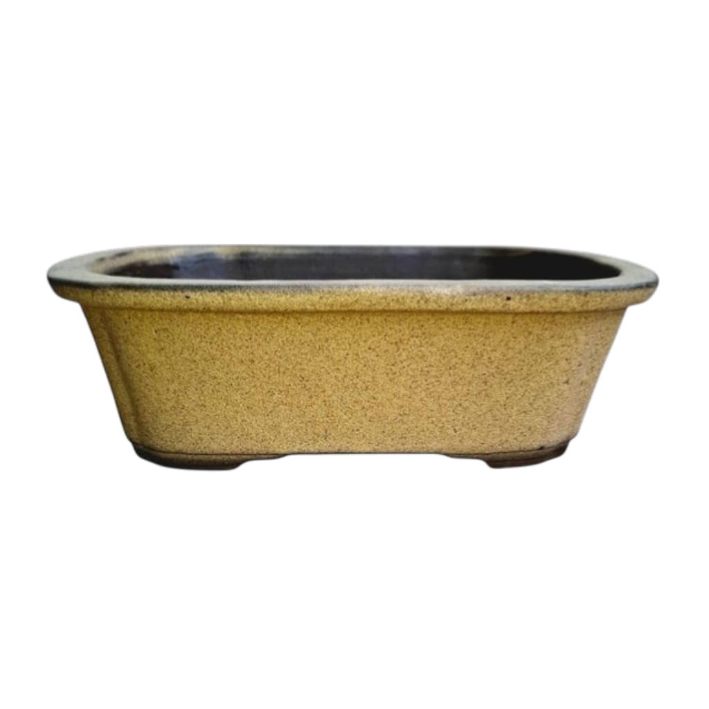 Medium Rectangle round corners