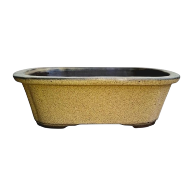 Medium Rectangle round corners