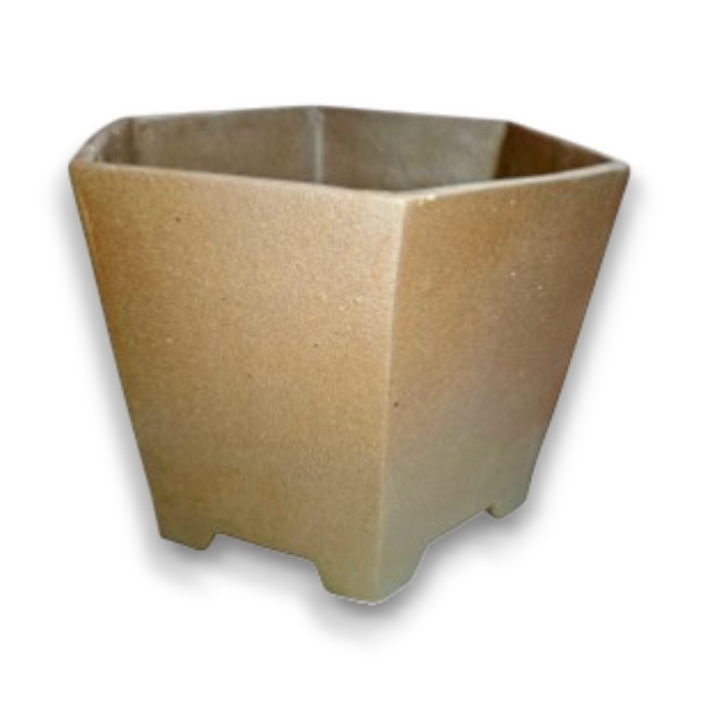 X Large Hexagonal Semi-Cascade