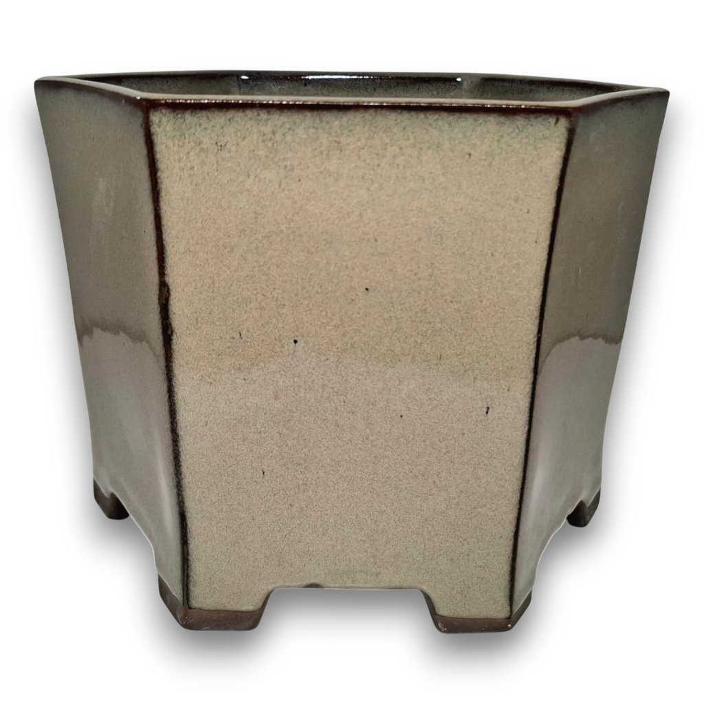 X Large Hexagonal Semi-Cascade