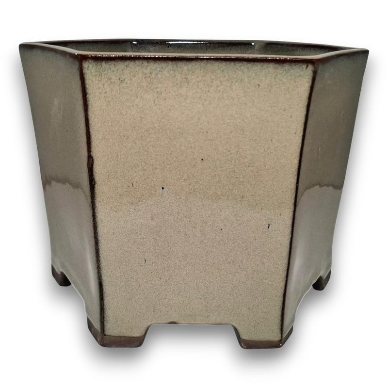 X Large Hexagonal Semi-Cascade