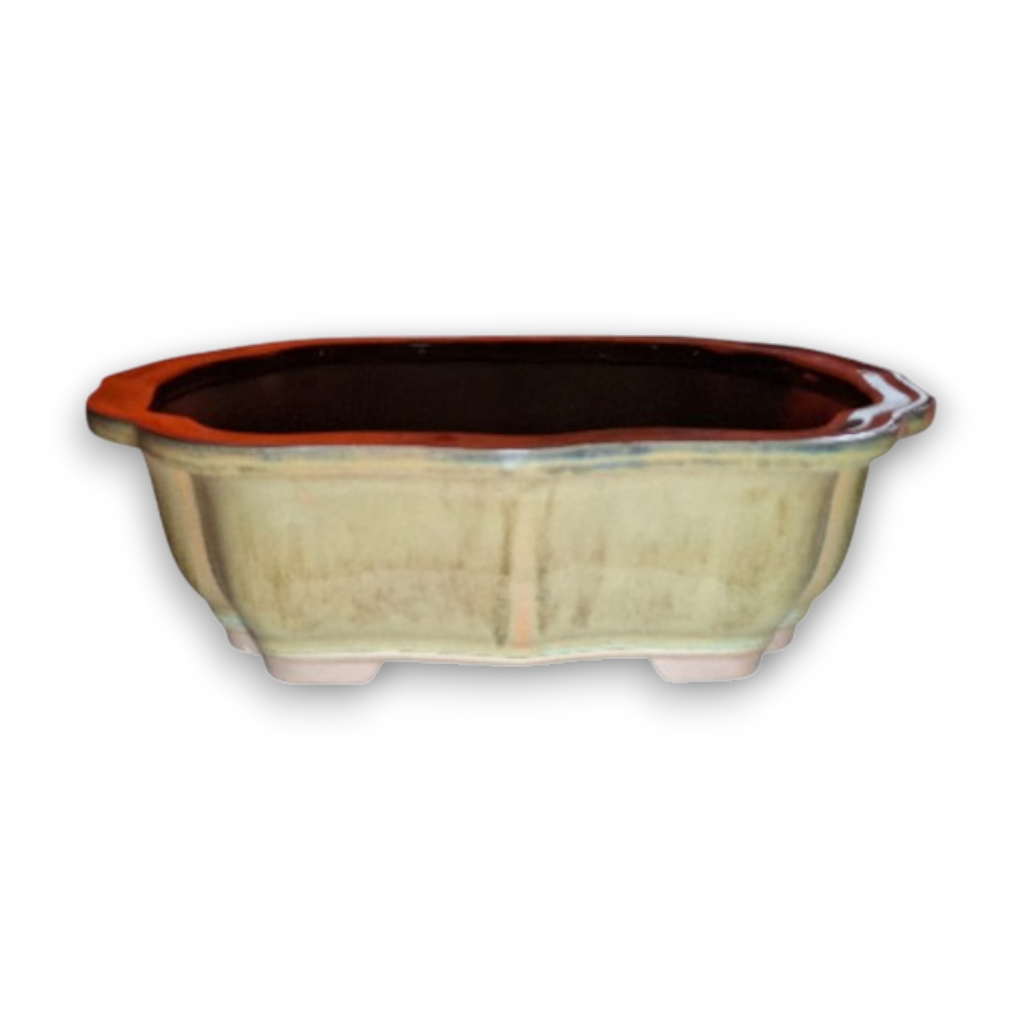 X Large Rectangular Round Corners