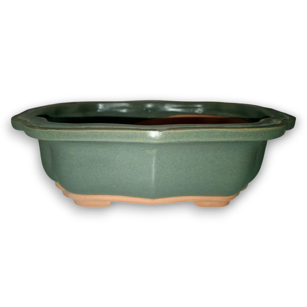 Floriated Shaped Bonsai Pot