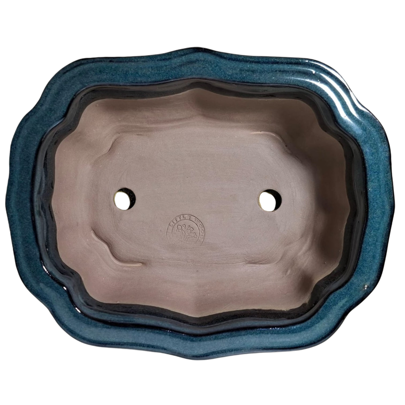 Floriated Shaped Bonsai Pot