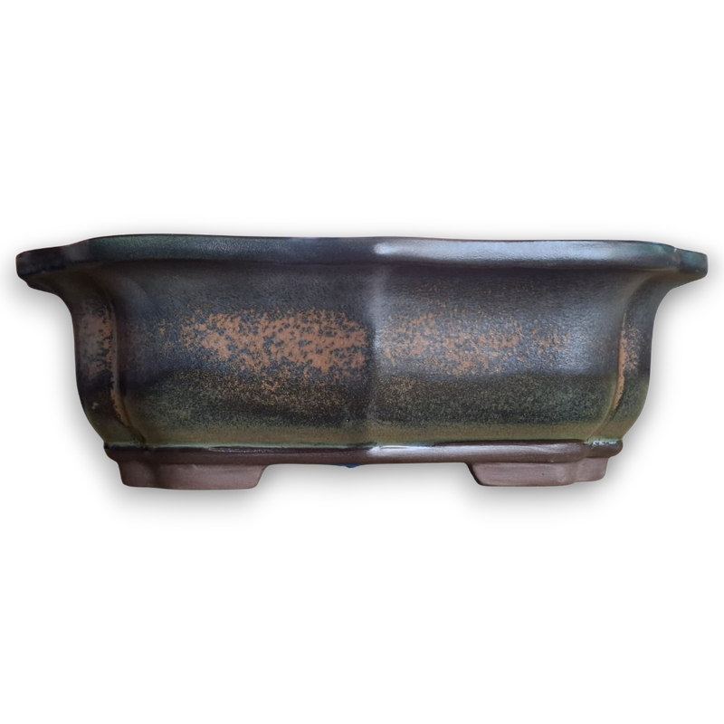 Floriated Shaped Bonsai Pot