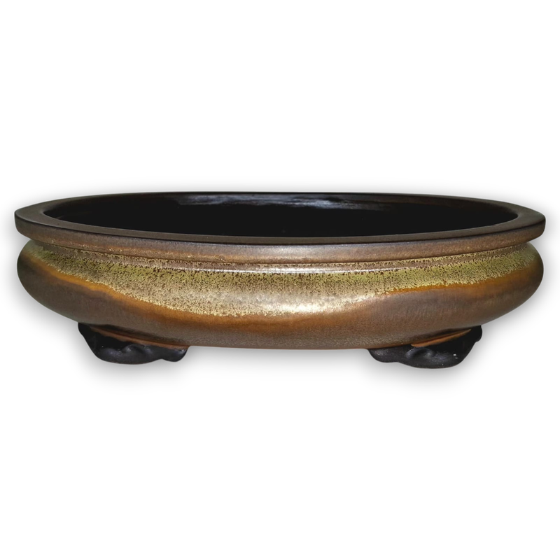 Oval