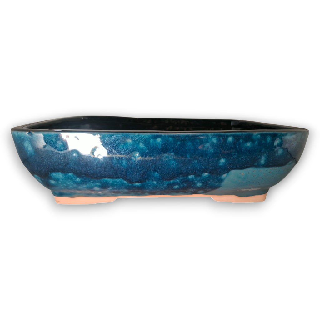 X Large Hexagonal Semi-Cascade