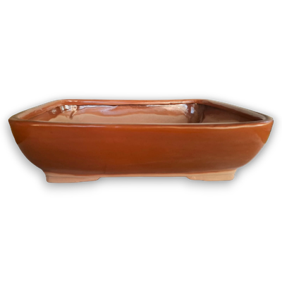 Large Rectangular Bonsai Pot