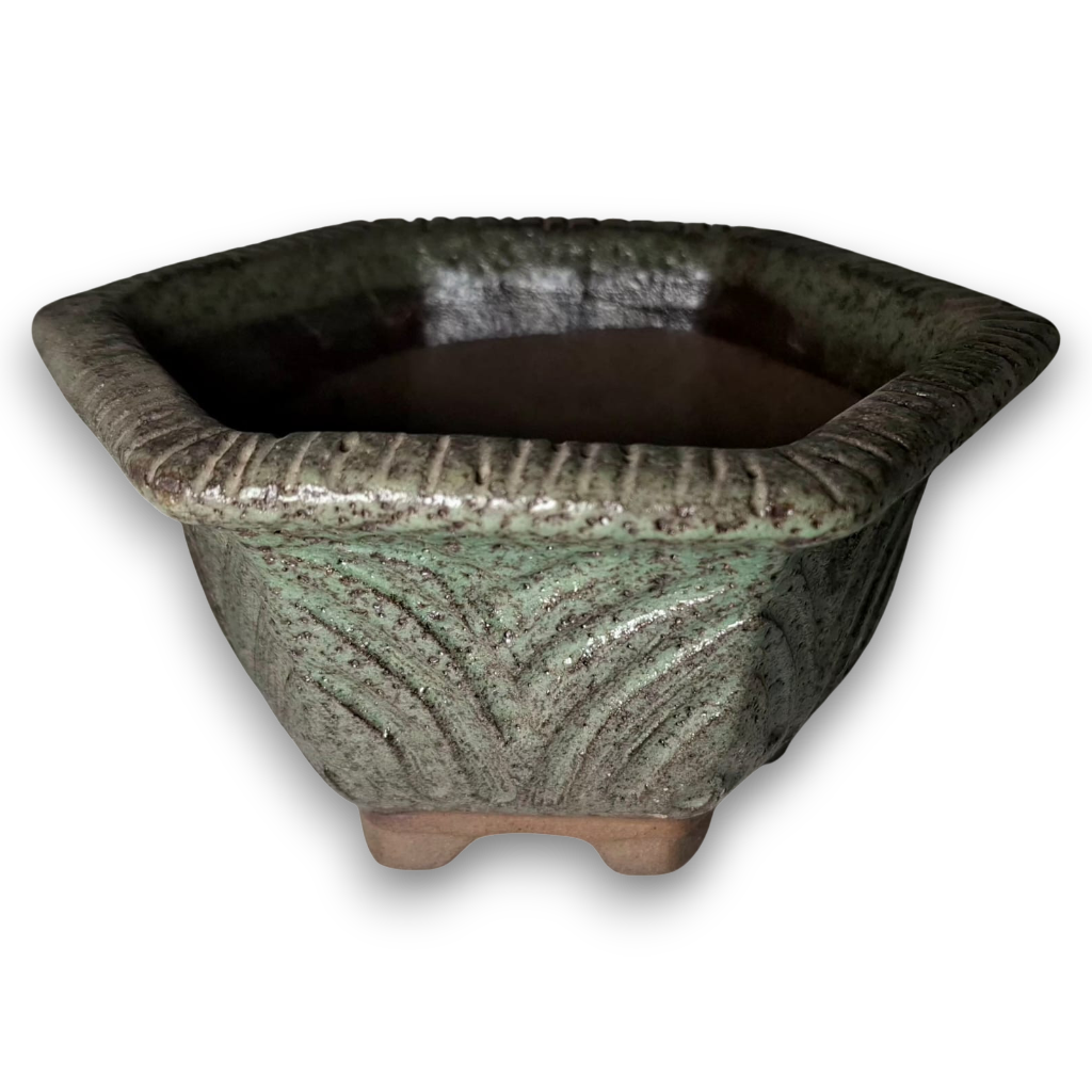 Verdant Relic "Hexagonal"