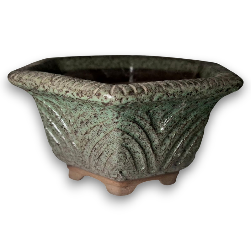 Verdant Relic "Hexagonal"