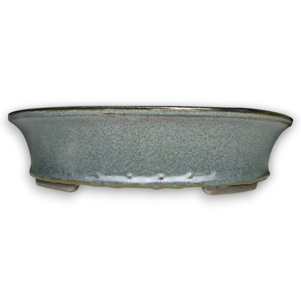 Medium Oval Bonsai Pot