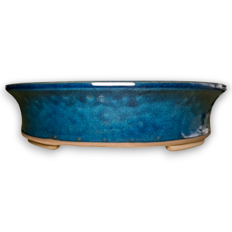 Medium Oval Bonsai Pot